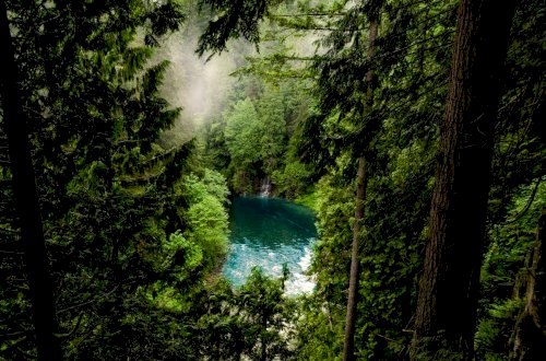 My nature photos